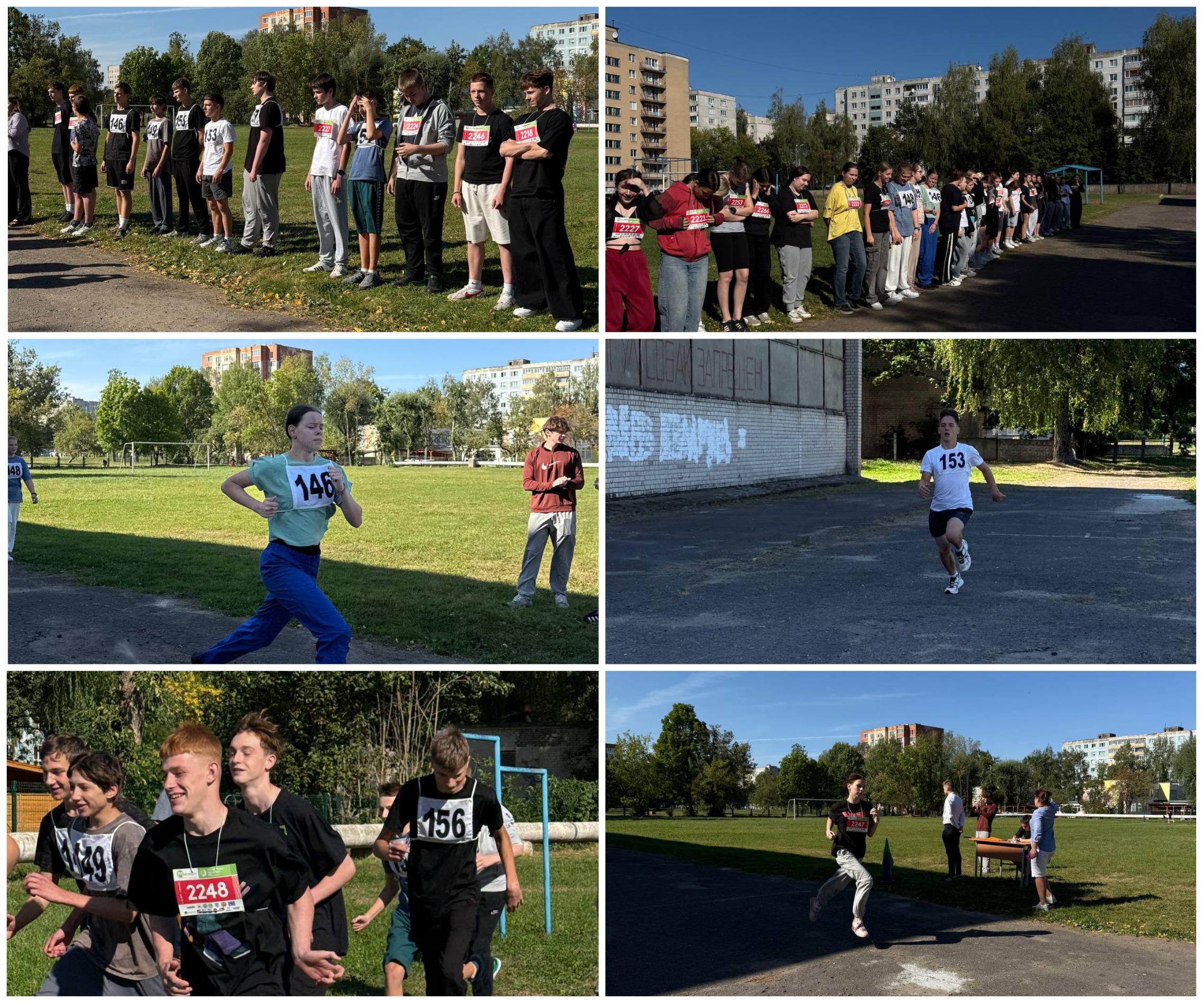asd